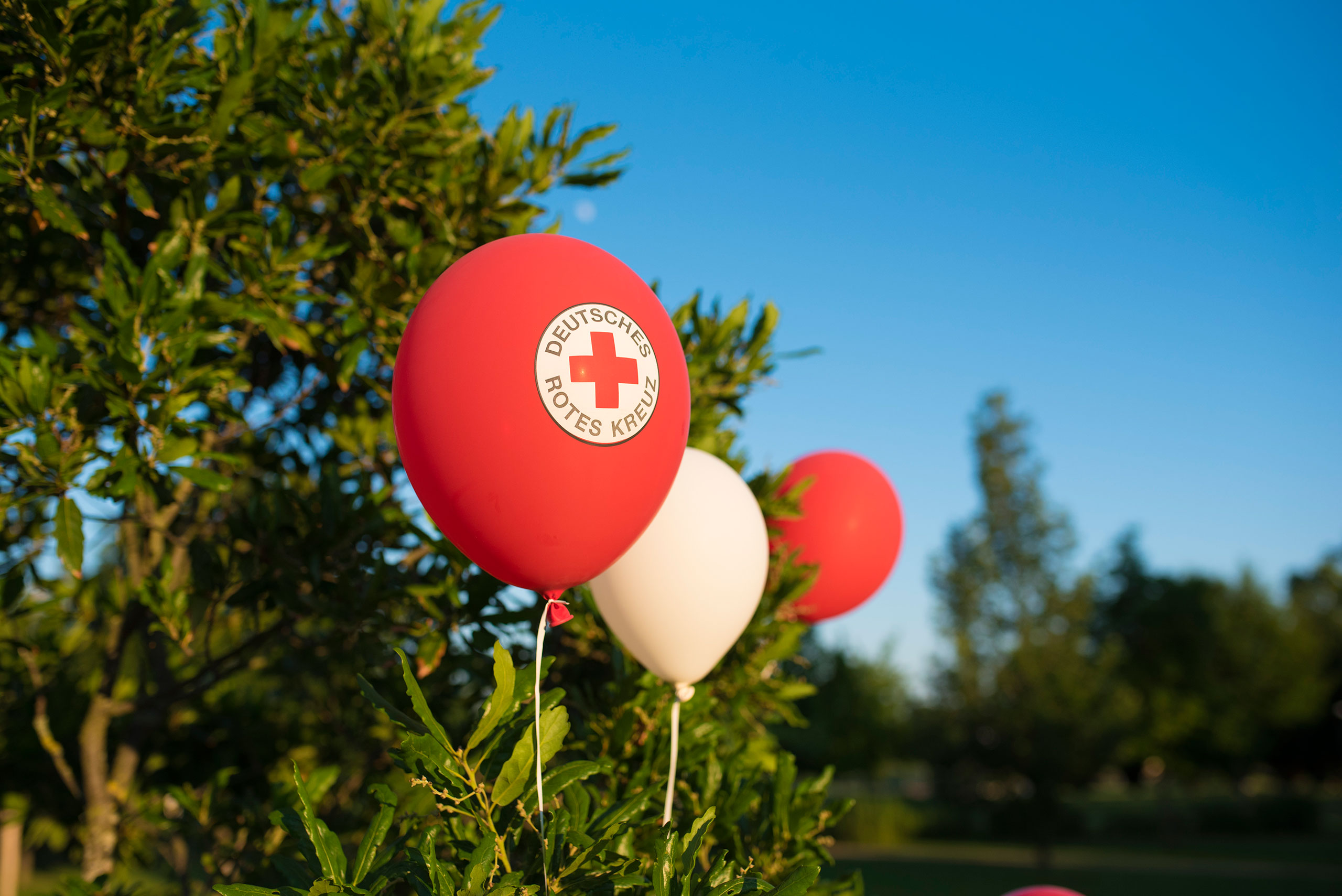 01 jeske20190613 076