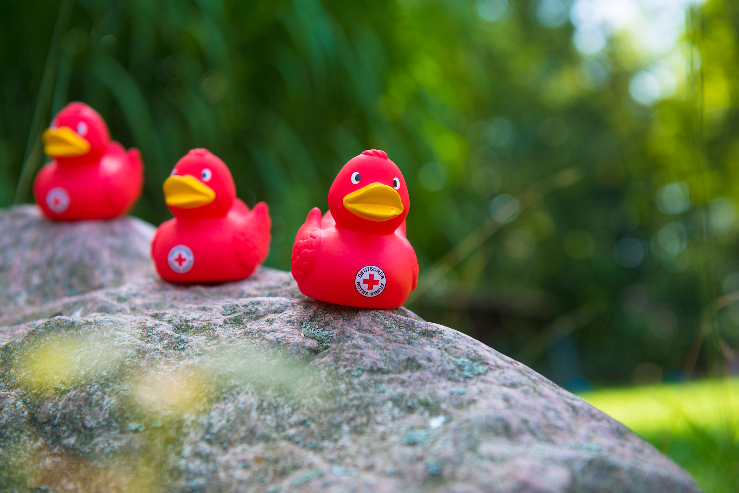 11 jeske20190725 013