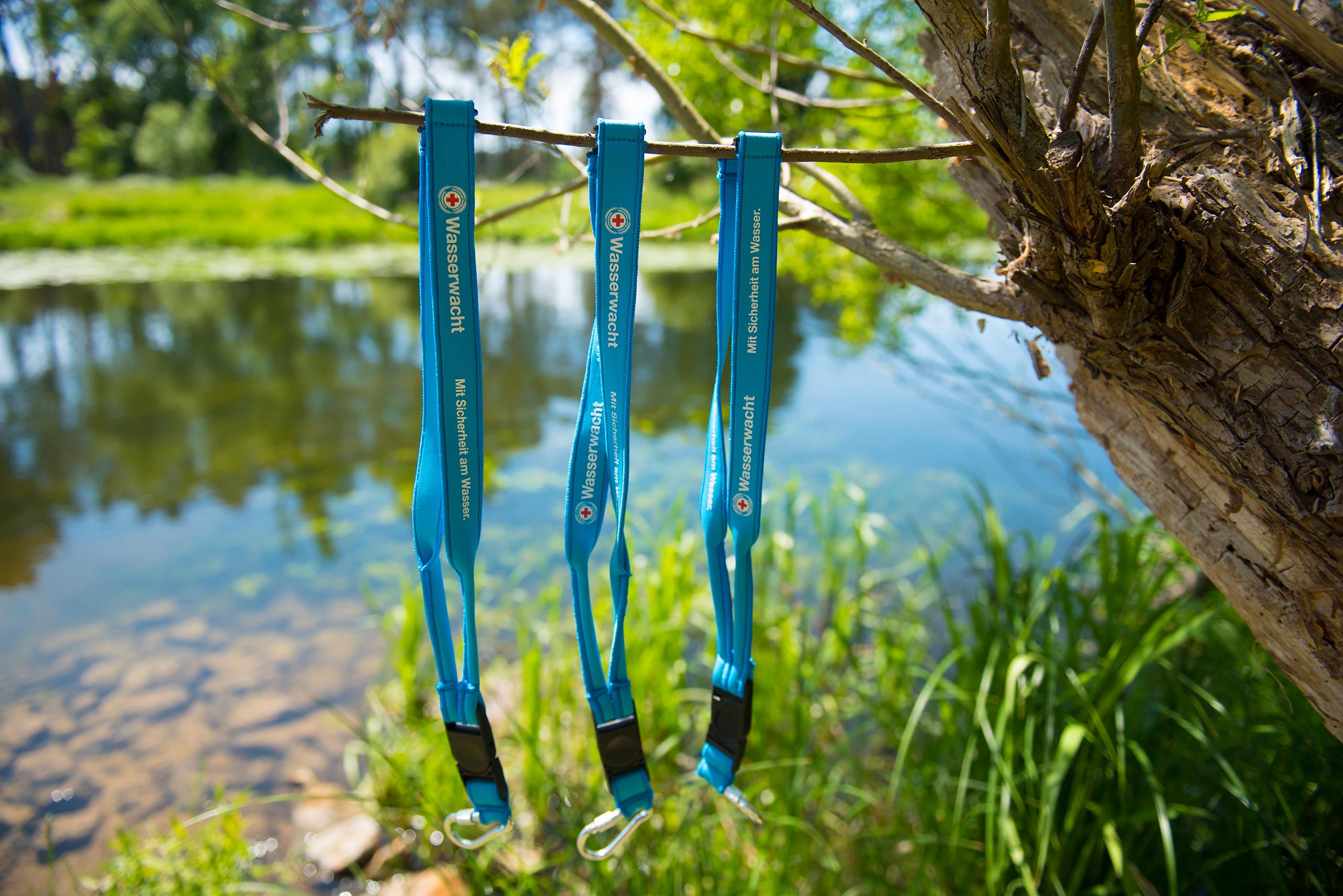 14 jeske20200603 028