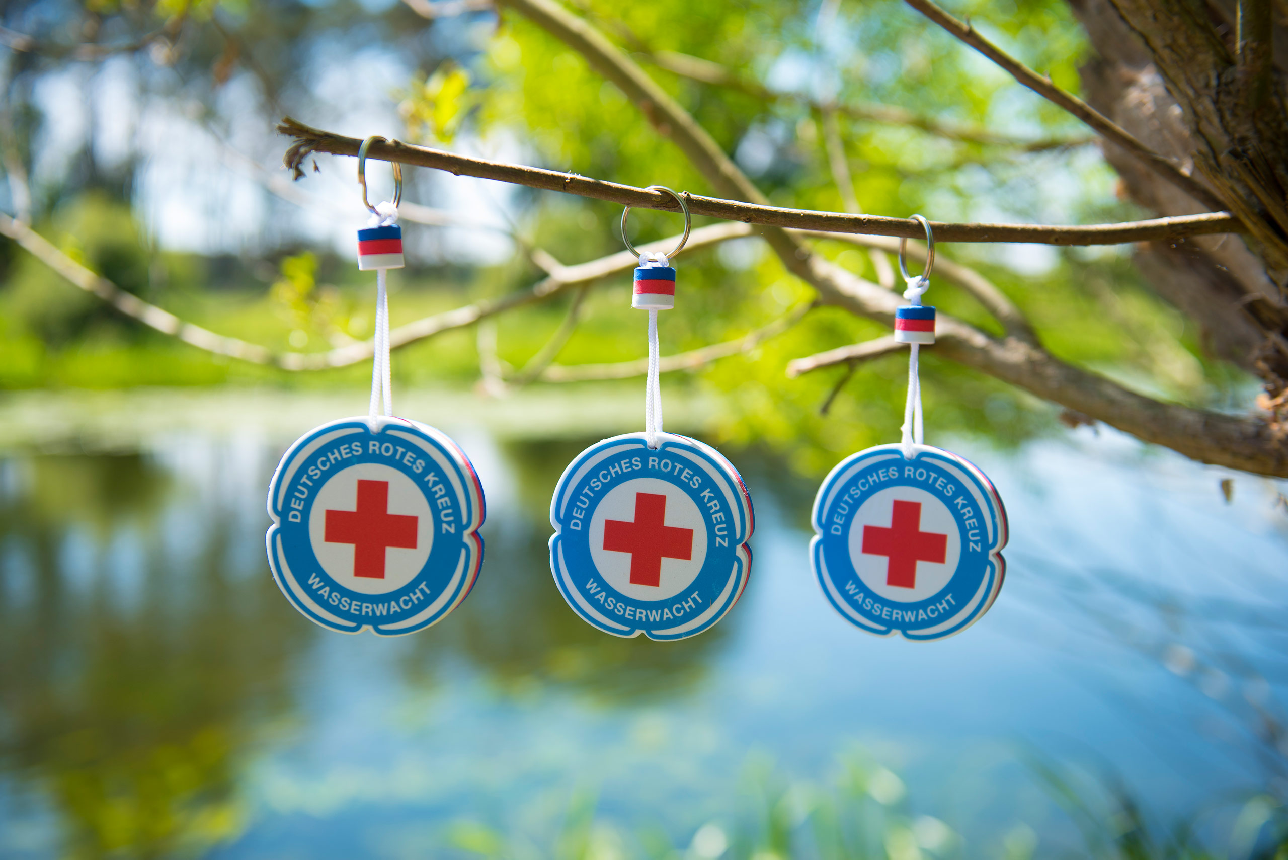 15 jeske20200603 033