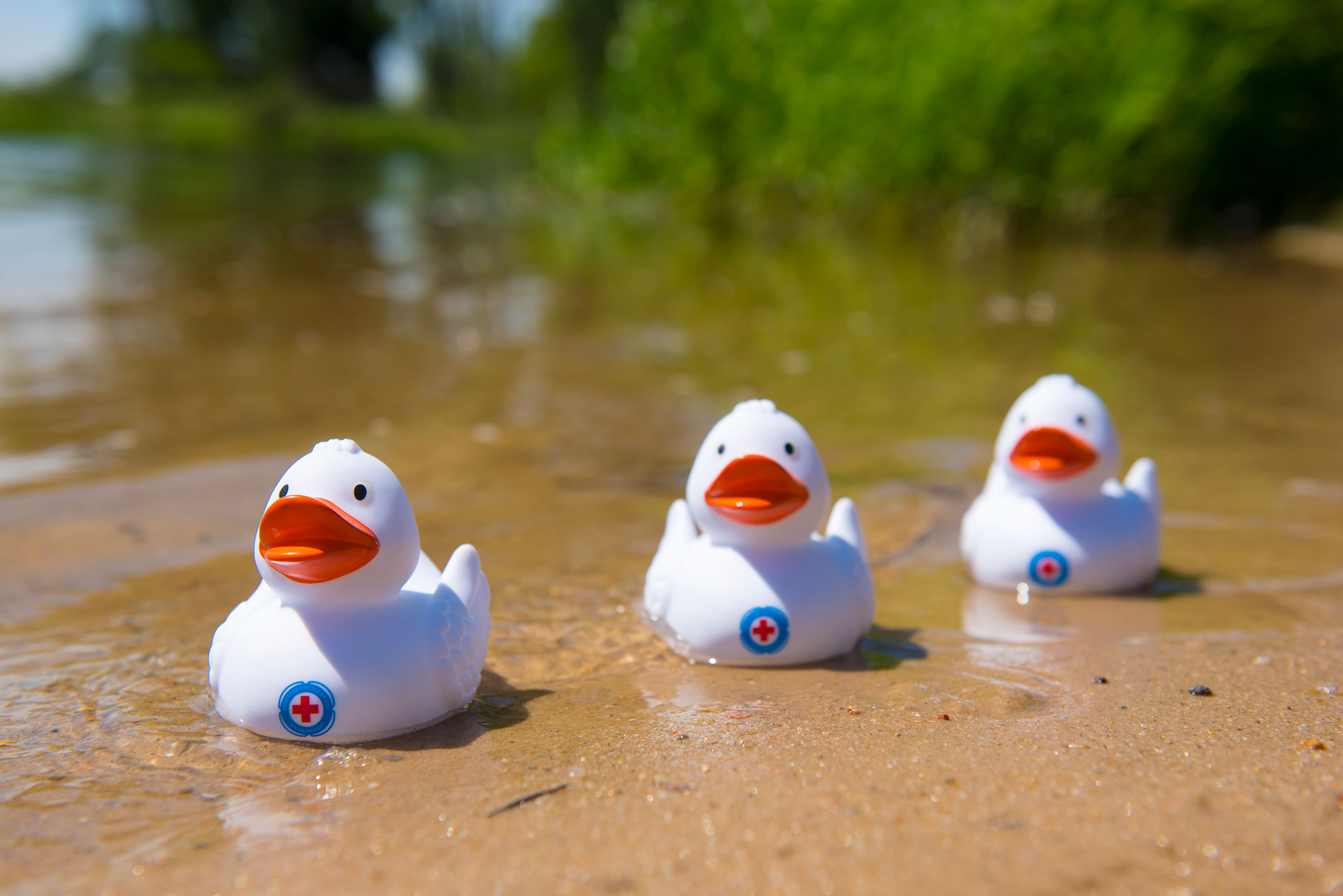 16 jeske20200603 025