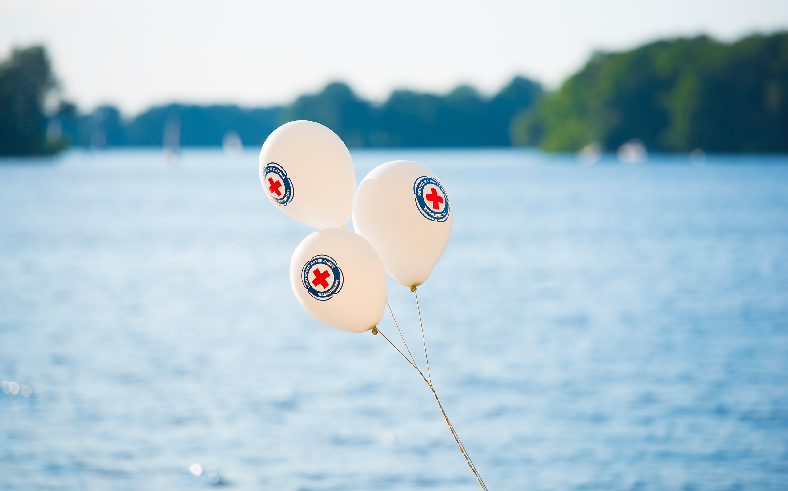 19 jeske20200614 017